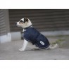 EQUITHEME Coperta per cane Aircool