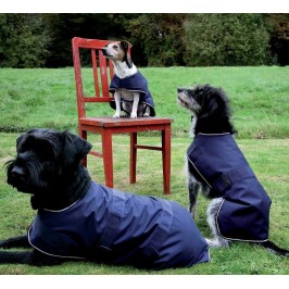 Coperta Impermeabile Per Cuccioli Antiscivolo Coperta Impermeabile Del Cane  Copriletto Lavabile Per Animali Domestici A Prova Di Pipì Antigraffio