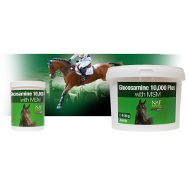 NAF Glucosamine 10000 Plus Con MSM