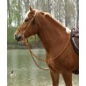 Briglia Barefoot® ''Amber' Bridle 2-in-1