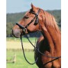 Briglia Barefoot® ''Amber' Bridle 2-in-1