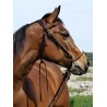 Briglia Barefoot® ''Amber' Bridle 2-in-1