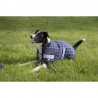 Coperta per cani EQUITHEME Colorado