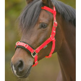 Longhina per cavallo grigio Rosso/ Longiertrainingssystem Nostalgia affondo System taglia Pony 