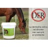 NO DER lotta alla Dermatite Estiva Recidivante 9kg