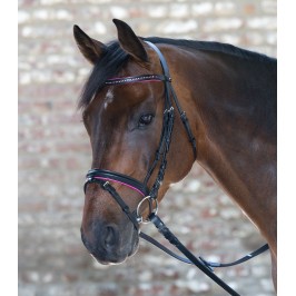 SPECIALE ATTREZZATURA CAVALLO Prestige FR-E142 - Testiera classica black -  Private Sport Shop