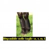 Paratendini Anteriori Cross Country 1680D Tendon Boot