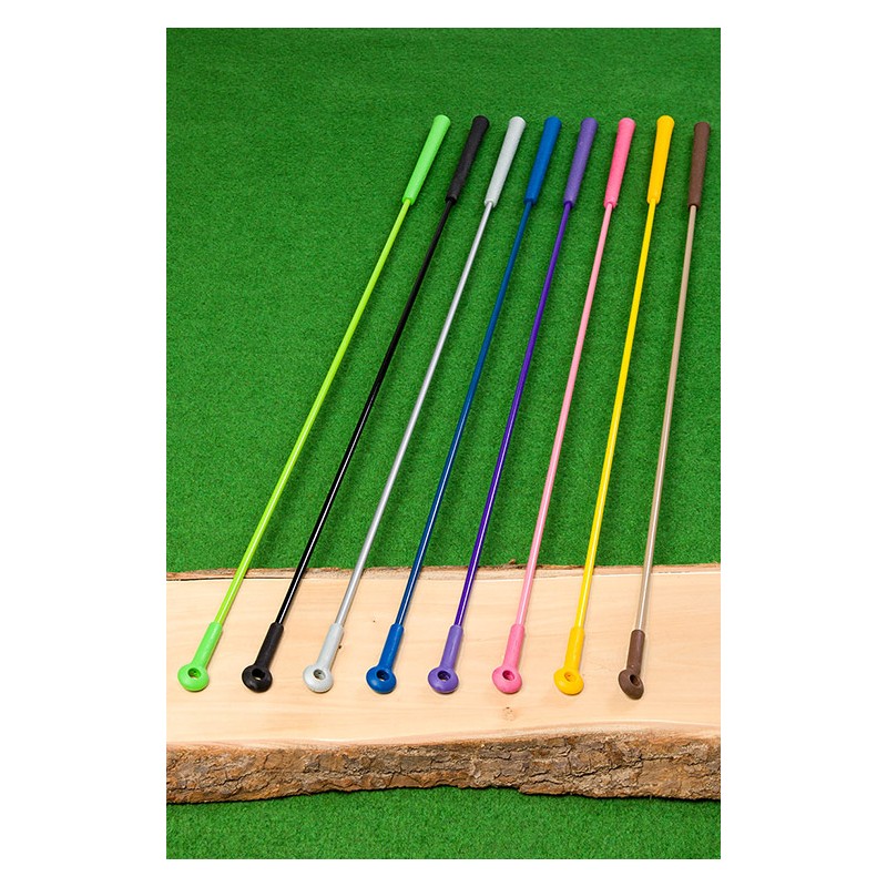 CARROT STICK BROCKAMP Standard Quality