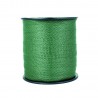 BANDA ELETTRICA SUPERIOR 4 CM VERDE (200 MT)