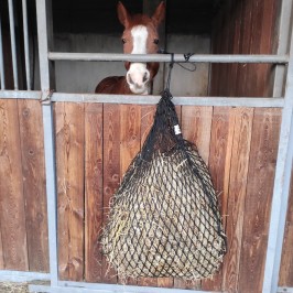 Rete per fieno alta qualità a sacco per 10 kg di fieno