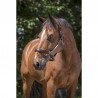 Capezza in pelle NORTON PRO "GROOMING”  LEATHER HEADCOLLAR