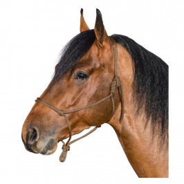 Cavezza in Corda Annodate Addestramento del Cavallo per Parelli Metodo Etologico Viola, Full Horse