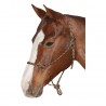 CAPEZZA Naturale HORSEMANSHIP Brockamp PROFI LINE COB taglia media