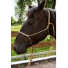 CAPEZZA Naturale HORSEMANSHIP PROFI LINE PONY