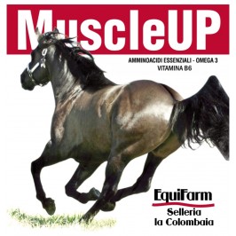 MuscleUp 4 kg massa muscolare e performance