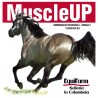 MuscleUp 4 kg massa muscolare e performance