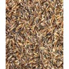 AVENA BIONDA DEPOLVERATA DI OTTIMA QUALITA' IN SACCHI DA 20 KG.