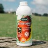 RAVENE NUTRIFORME 1 litro 1 mese di trattamento