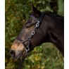 Briglia Bitless Barefoot® Bridle 'Syringa' completa di redini