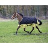 Coperta da paddock leggera EQUITHÈME TYREX 600 D “REFLECTIVE” per puledri e pony