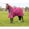 Highlander Original 300g Turnout Rug con collo staccabile