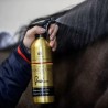 Districante Canter Mane & Tail conditioner Carr & Day & Martin