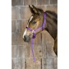 Capezza Puledro ARMA FOAL SLIP con attacco