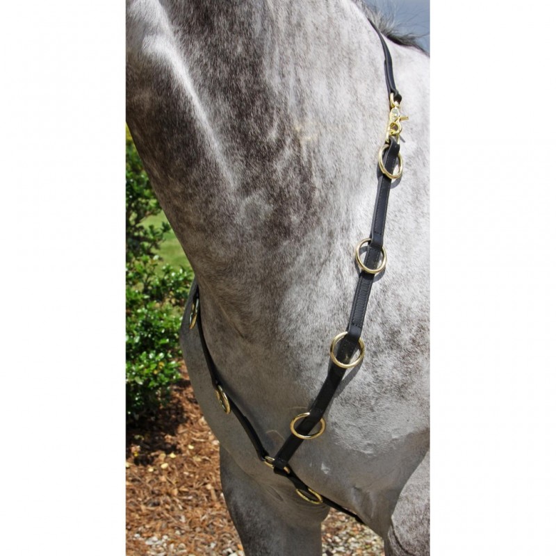 10 Ring Training Martingale Martingala in Biotane USA