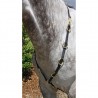 10 Ring Training Martingale - Martingala in Biotane USA