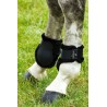 Paranocche NORTON COMFORT Imbottite Cavallo/Pony/Shetland