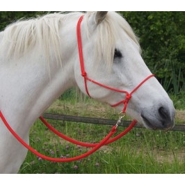 Bitless Briglia Accessorio Pony Marrone Cuscino fettuccia 