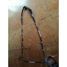 Arabian Cable Show Halter Billy Royal