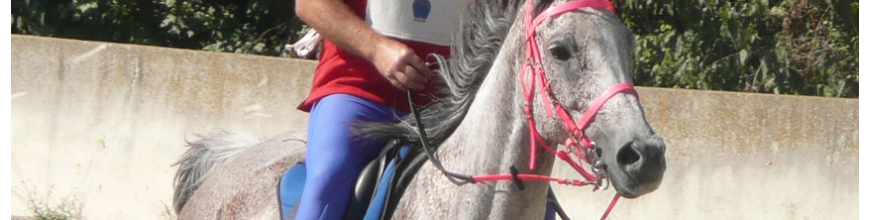 Briglie capezze per il trekking e l'endurance.