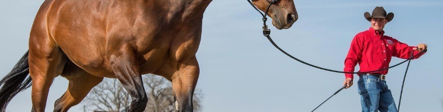 mangimi comple per cavallo, biotina per cavallo, cura del dolore e vitamine - Selleria la Colombaia articoli equitazione on line