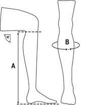 Misura stivali e Ghette equitazione