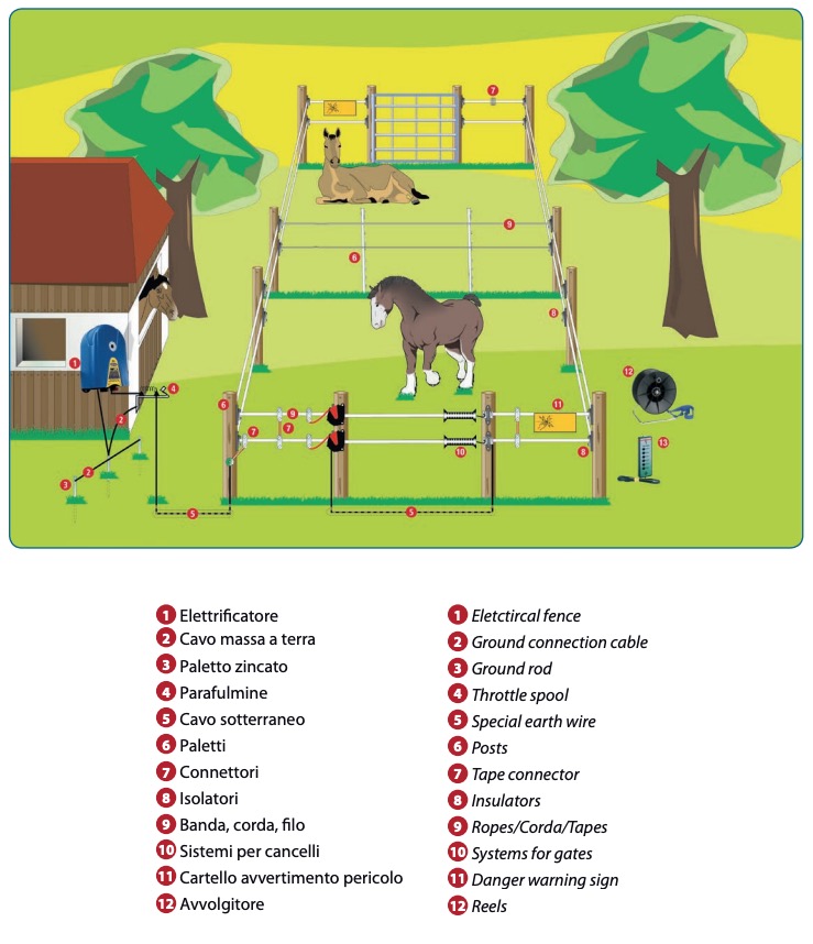 Recinzione Elettrica Per Cani – Guida Installazione - My Selleria